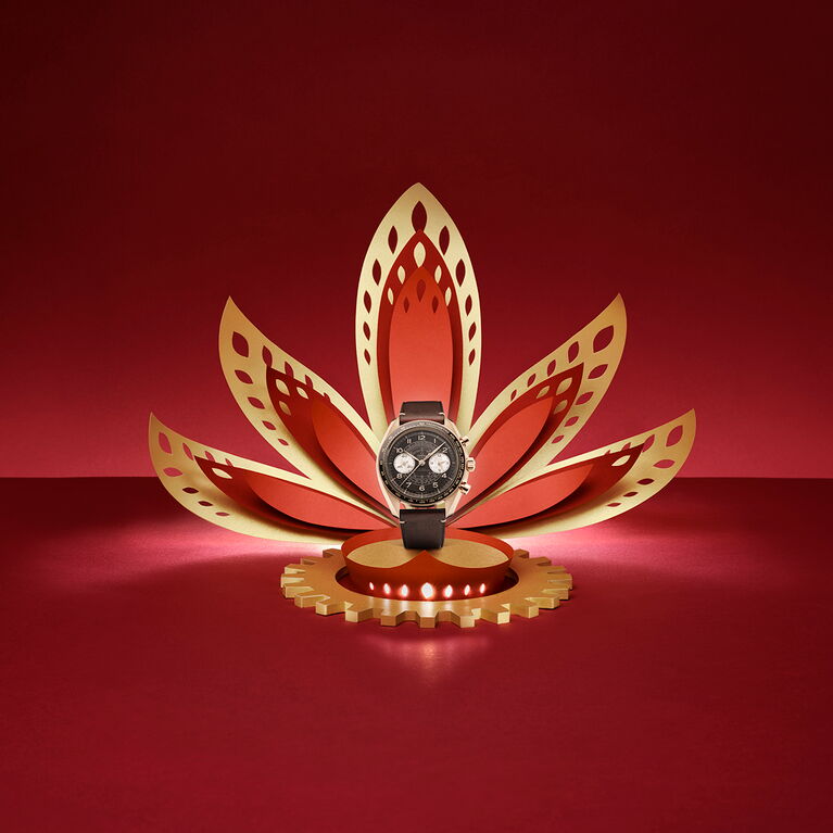 Omega Watches