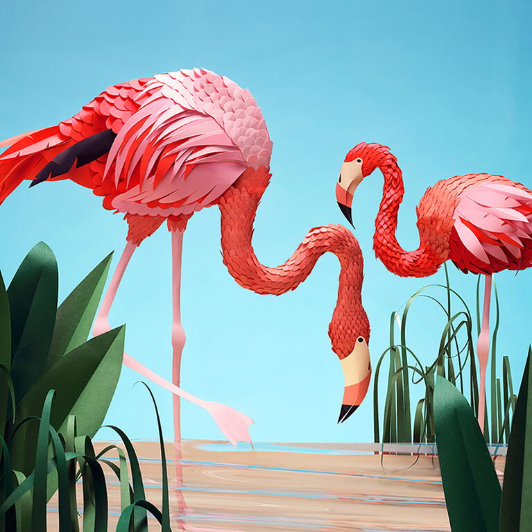 Flamingos