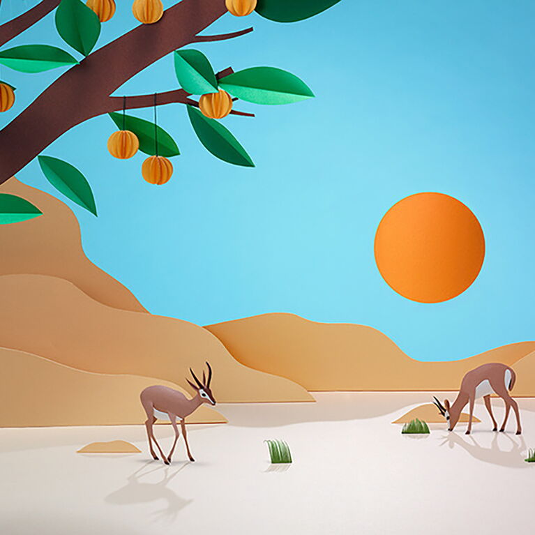 Antilopes
