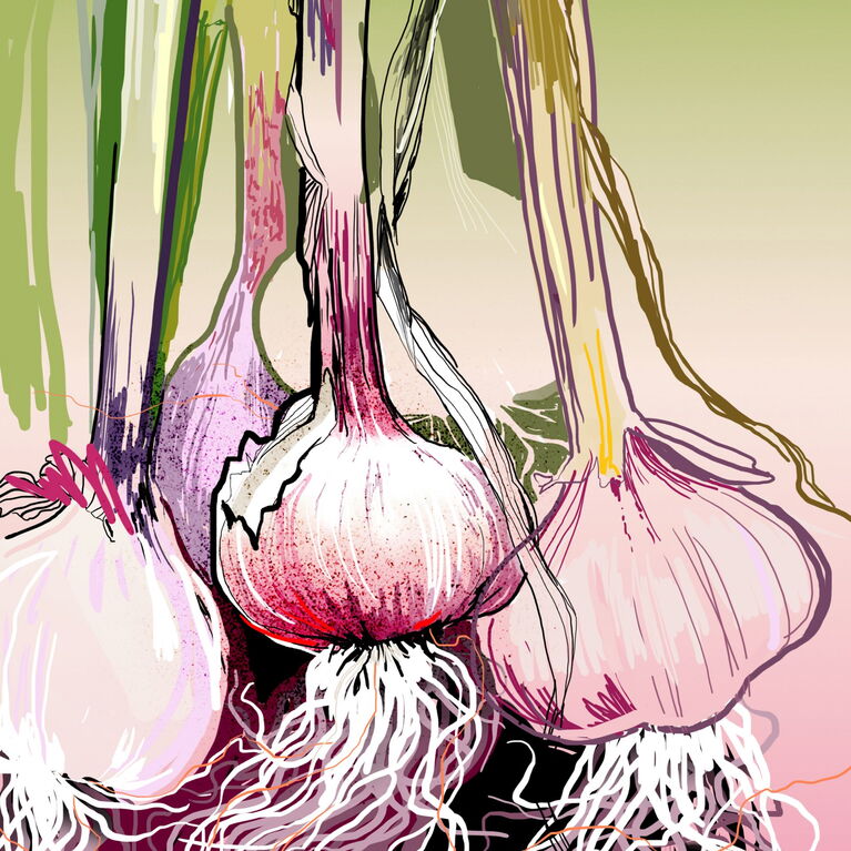 garlic