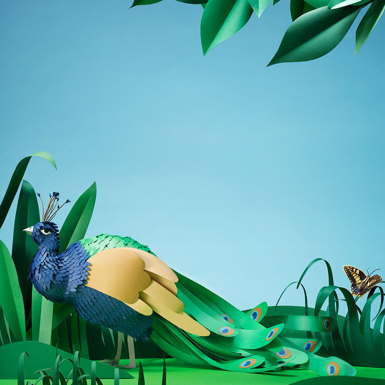 Peacock