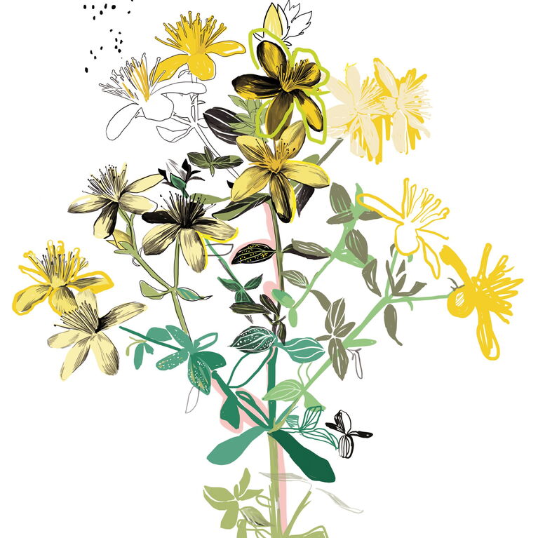 ST. JOHN`S WORT