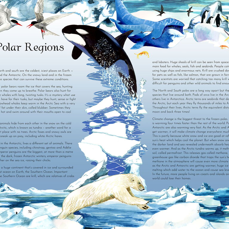 Return of the Wild