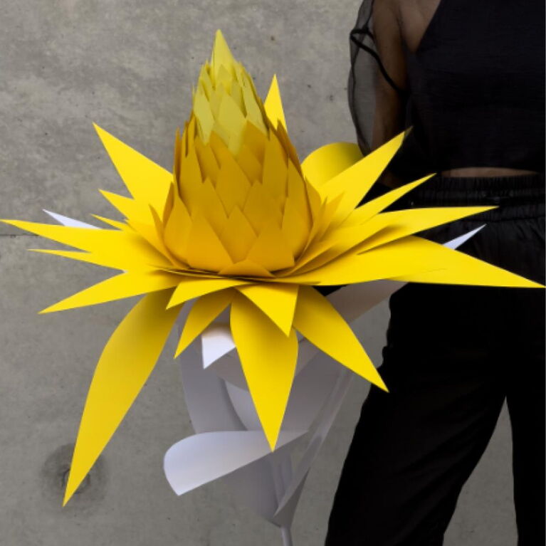 dorothee schumacher