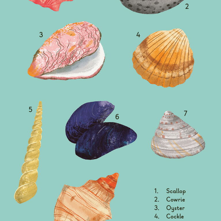 WHAT TO LOOK FOR BY THE SHORE