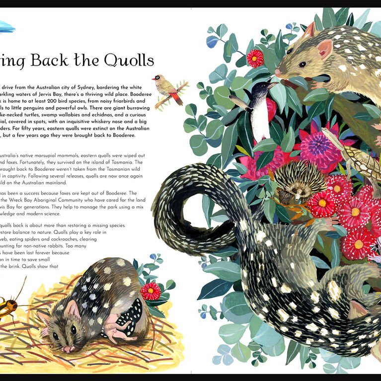 Return of the Wild