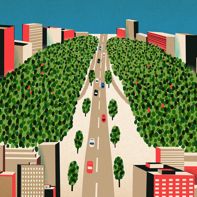 lungs of the cities