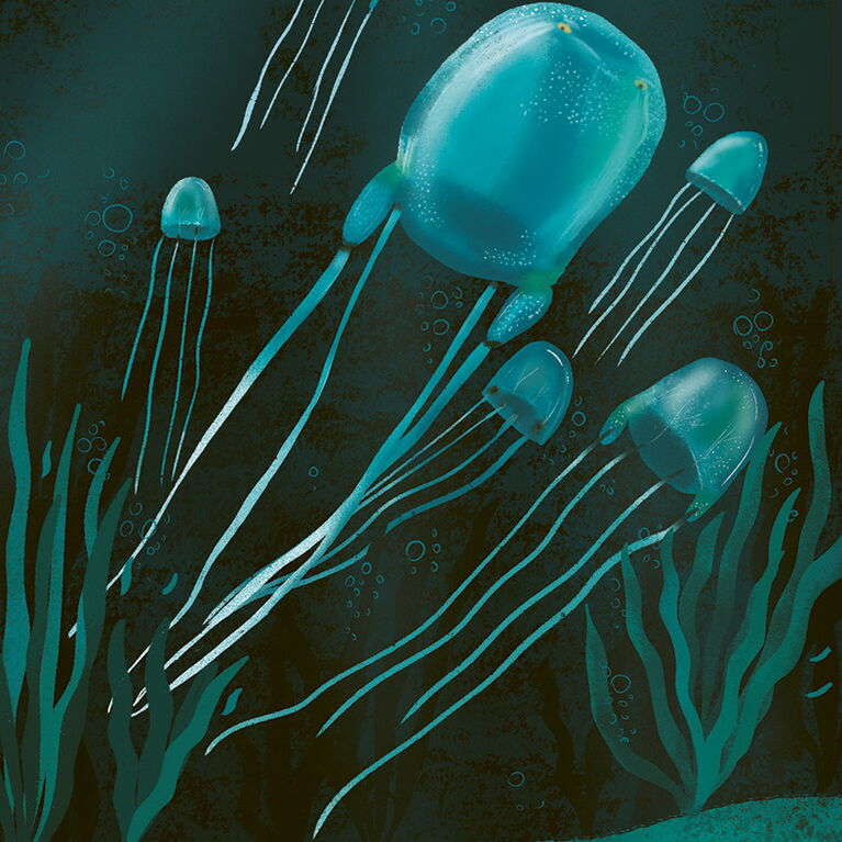 under the sea