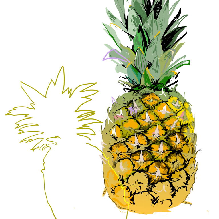 PINEAPPLE