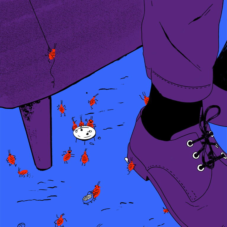 Bed bugs