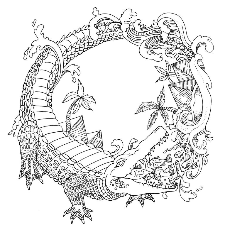 Book Illustration