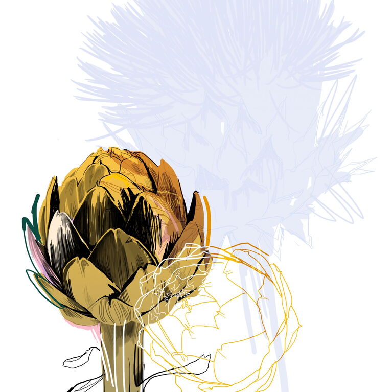 artichoke