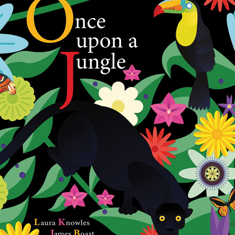 Picture Book