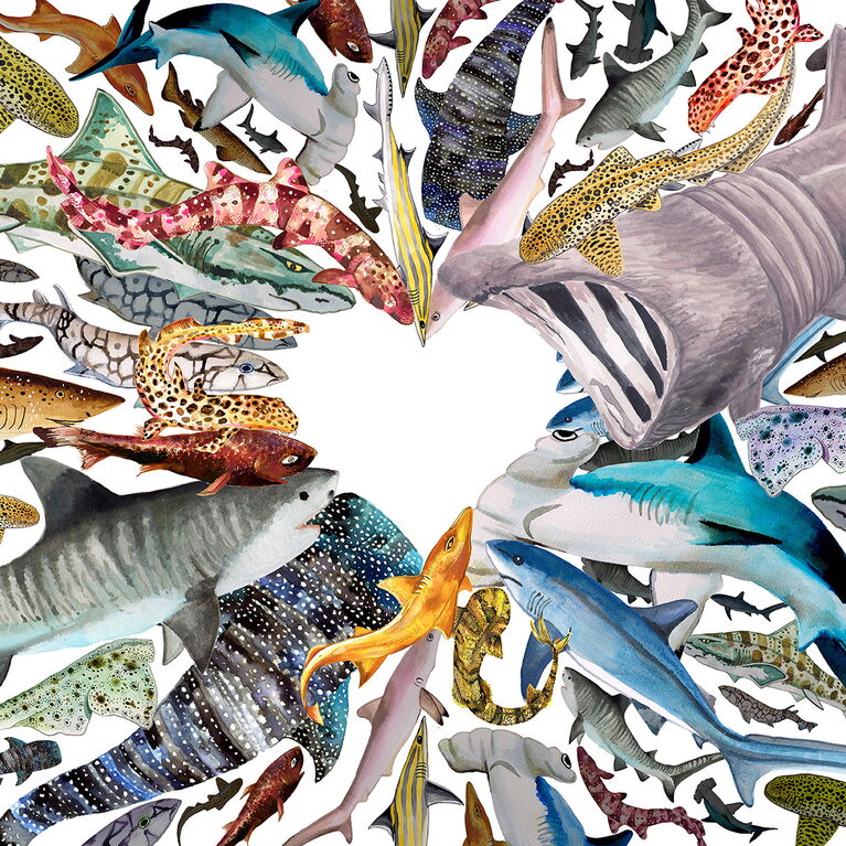 Shark