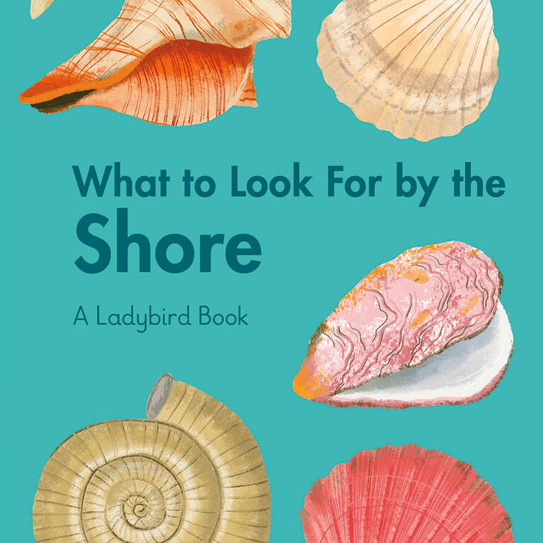 WHAT TO LOOK FOR BY THE SHORE