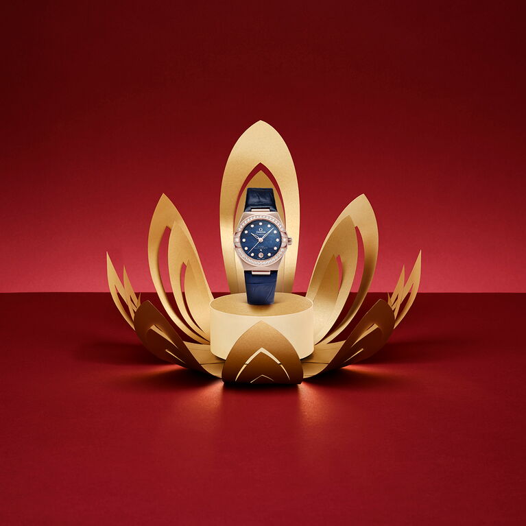 Omega Watches