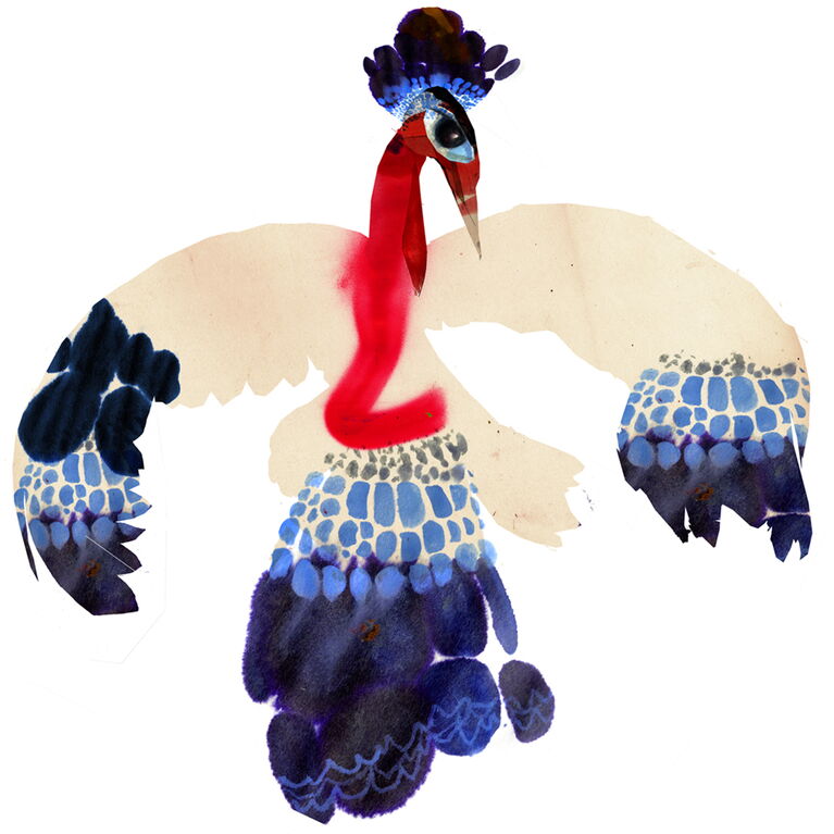 bird