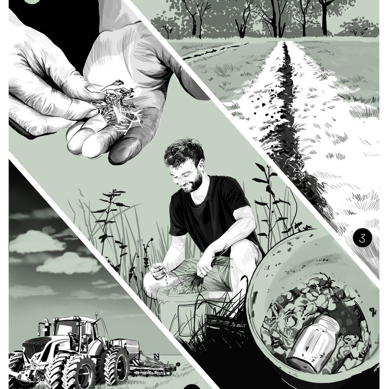 AGROFORESTRY