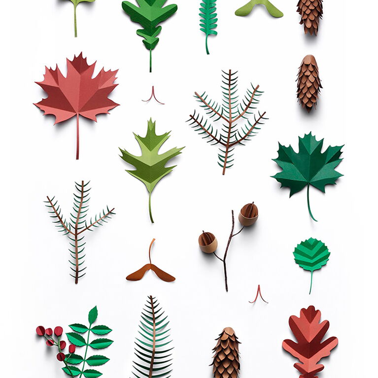 Paper Garden