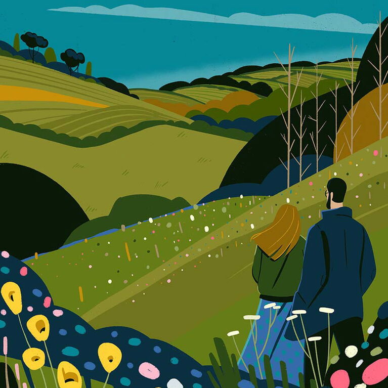 Rolling Hills in Totnes